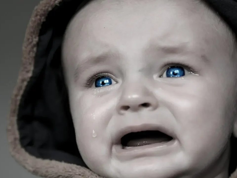 sedam faza razvoja bebe