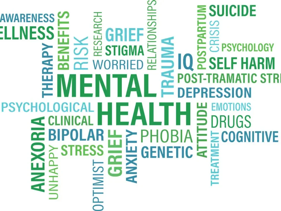 poremećaji u ponašanju