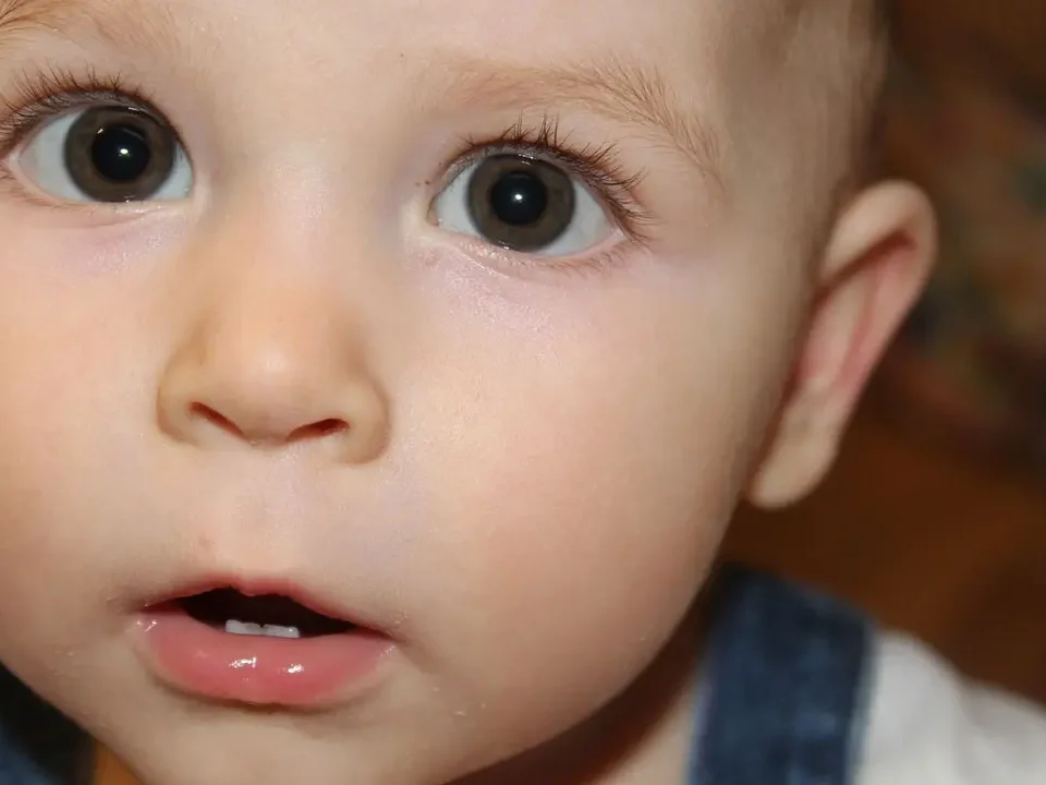 zubi počinju nicati